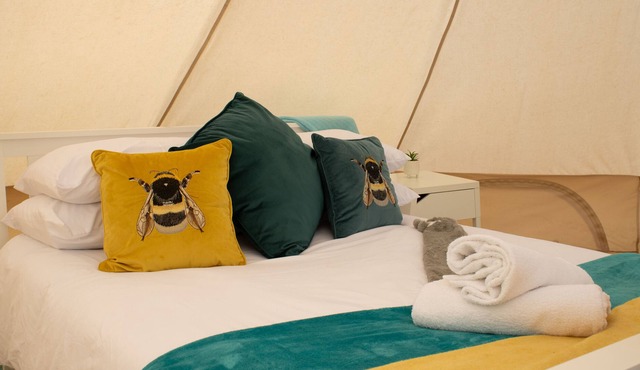 Buttercup - Bell Tent in Dormston