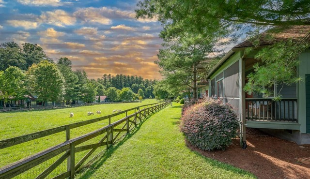 Buttercup Cottage | Quaint 2 BR Cabin Near Hendersonville!
