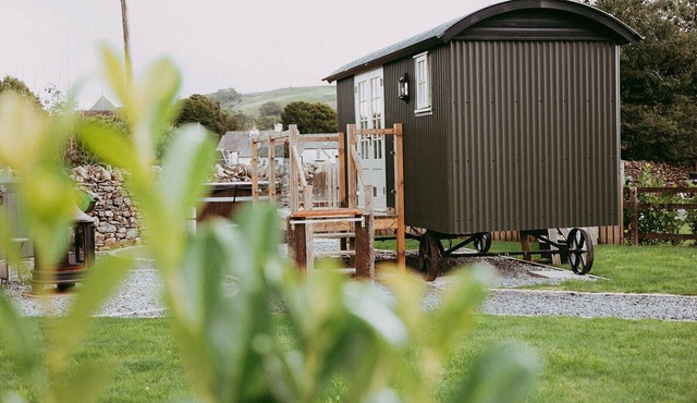 Buttercup Shepherds Hut