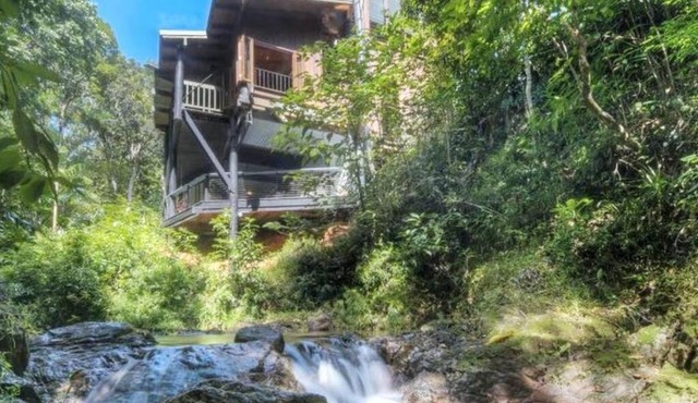 BUTTERFLY BEND - 3 Bedroom Daintree Beach House