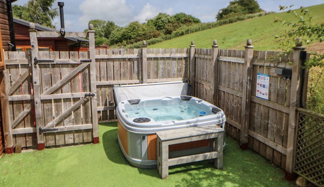 BUTTERFLY LODGE, pet friendly, with hot tub in Richmond
