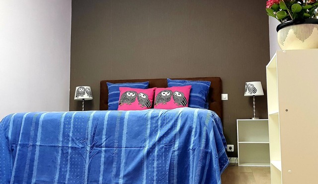 Butterfly room in Townhouse, bed & breakfast!