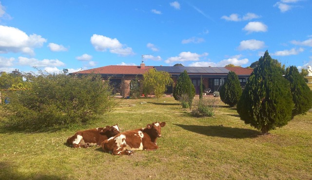 bwdghwufgdhweliufeuae