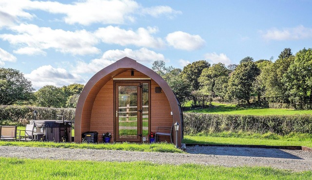 Bwthyn Bach Brefi - UK31919