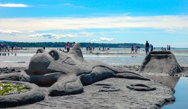 BWV C-1: Semiahmoo view 2 bedroom 2 bath