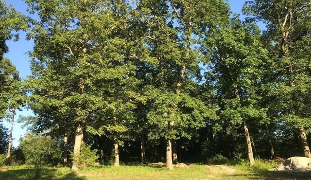 By Everything, Away from it all! Wi-Fi camping in Iron County