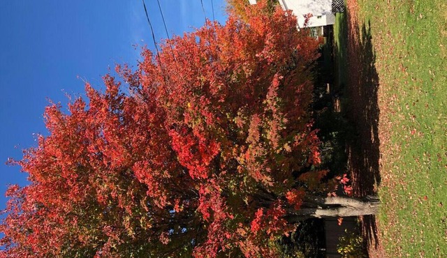 By The Bay Cottages in Stanhope! - Superior three Bedroom Executive Cottage #5A