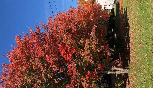 By The Bay Cottages in Stanhope! - Superior two Bedroom Executive Cottage #13