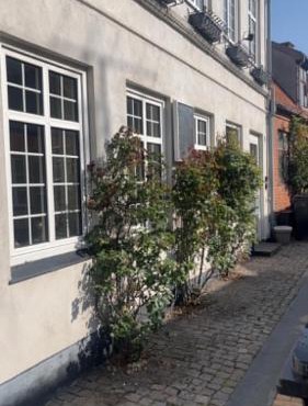 Byhus tæt på havnen