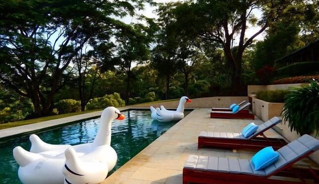 Byron Hinterland Retreat - Honeymoon