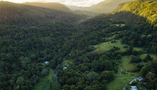 Byron Hinterland/Mountain Rainforest/Permaculture Farm - Pet Friendly!