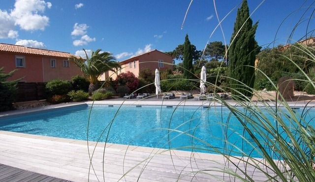 Cédrat - Saint Cyprien