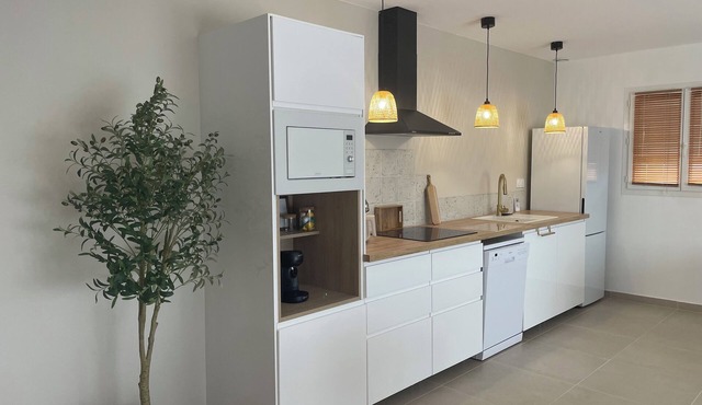 Côté Camargue Salin de Giraud rentals just a few minutes from wild beaches,