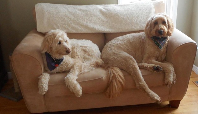 Côté's Bed & Breakfast