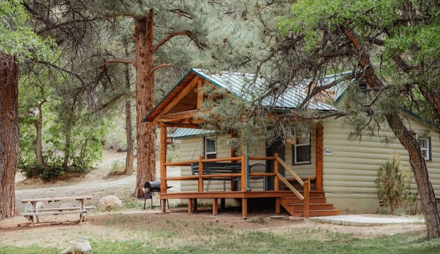 C-101) The Bluebird Cabin