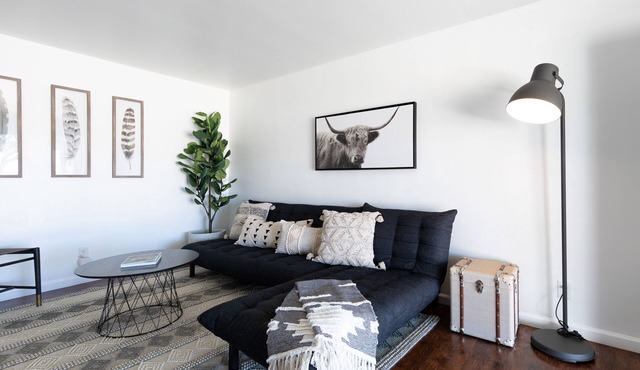 C3- Modern Black & White Interior w/a Warm Boho Edge
