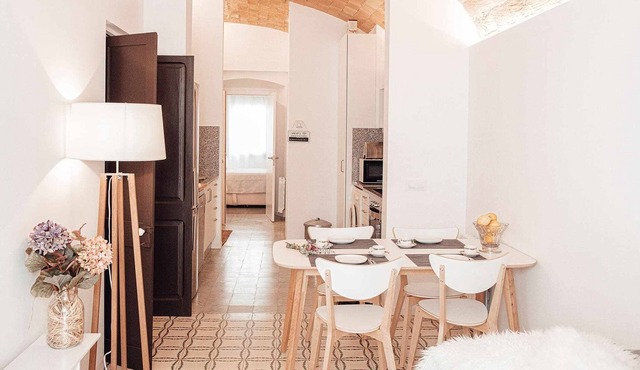 CA L'ESPARDENYER – apartment in the center of Banyoles