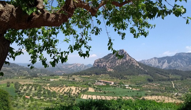 Ca la Fina - Rural house with AC