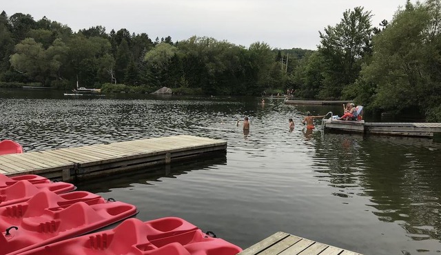 Lakeview Cottage