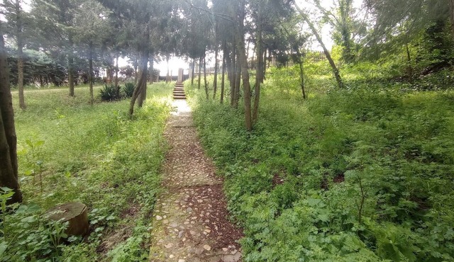 CABAÑA RURAL