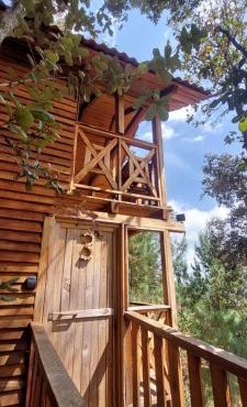 Cabaña en el Bosque de San José del Pacífico 3