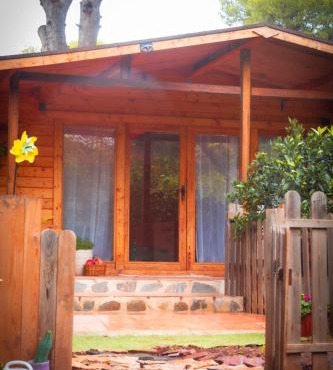Cabaña madera en bosque 100 ECO