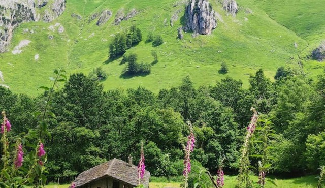 Cabaña Pasiega La Reina del Paraíso