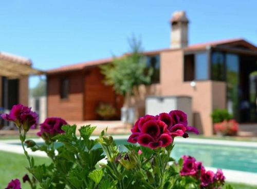 Cabaña Rural ¨La Huerta de los Serijos¨