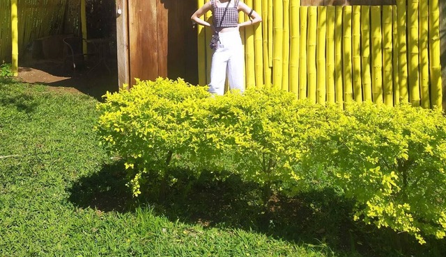 Cabañas Ixaya