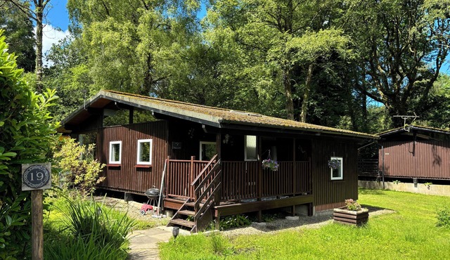 Caban Coetir - Spacious lodge in stunning woodland location 🐾✅