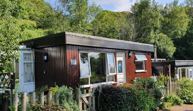 Caban Dyfi – A tranquil, dog-friendly woodland escape near Aberdovey, Wales