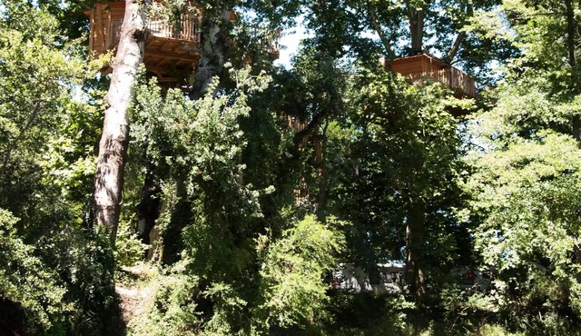 Cabana perched in Bäumen 2 bis 4 Personen - 2 Pers. im Preis enthalten