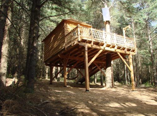 Cabane Écureuil & Cabane Chevreuil