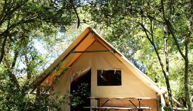 Cabane AMAZONE 2 rooms - 4 pers - without bathroom - 24 m² 4 people