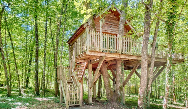 Cabane Amicie in the Trees – Retreat in Nature with Shared Heated Indoor Pool