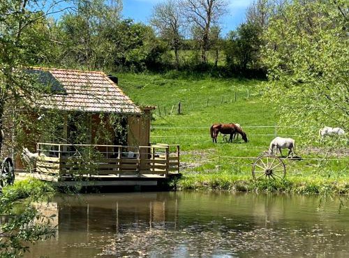Cabane au bord d'un étang