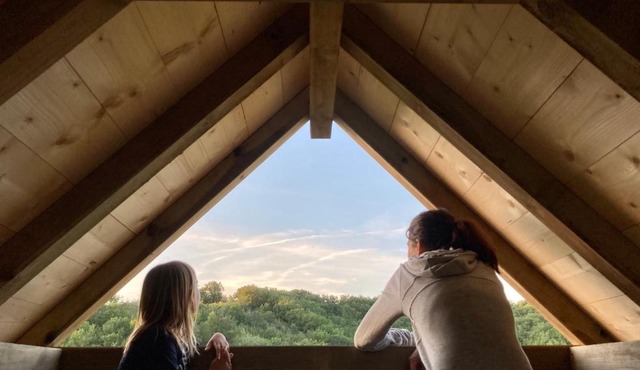 Cabane Bivouac avec échelle à l'ombre des chênes