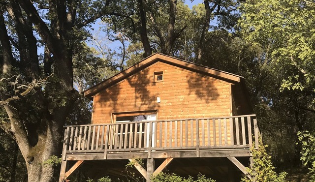 Cabane Dans les Arbres, au Coeur D'un Vignoble Provençal