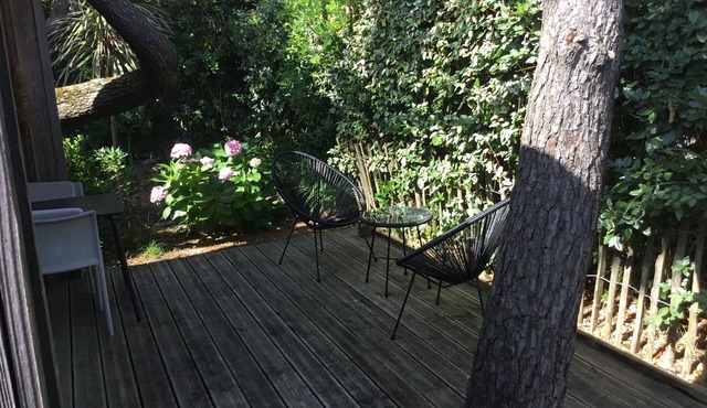 Cabane dans la verdure