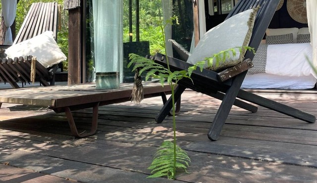 Cabane Dans les Arbres et Spa au sud Gironde