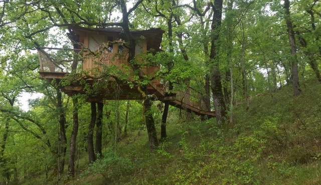 Cabane Dans Les Arbres - La Pagode
