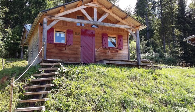 CABANE DE BOUCLE D'OR: 200m from forest tracks and paths