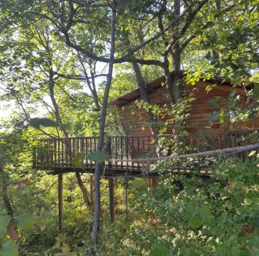 Cabane de la Bannette - Magnifique cabane dans les arbres, vue panoramique