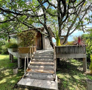 Cabane en bois climatisée