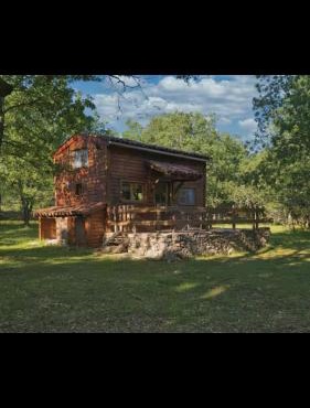 Cabane en bois
