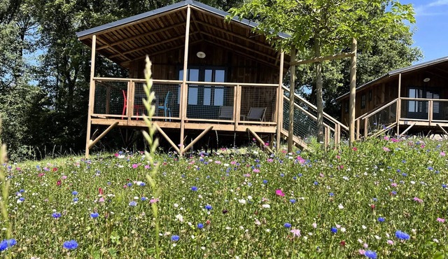 Cabane Lodge Familiale (29 m² - 2 bdrms) sleeps 5