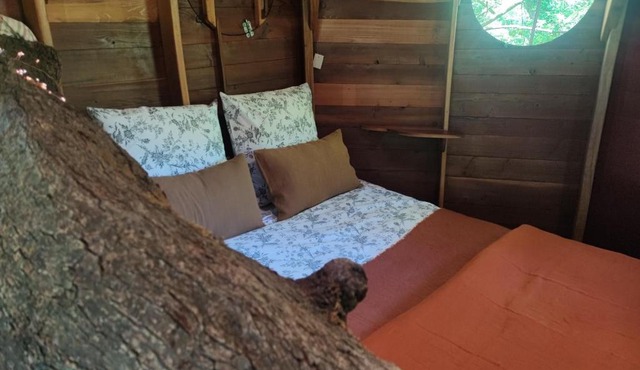 Cabane Maya - Ile aux Cabanes