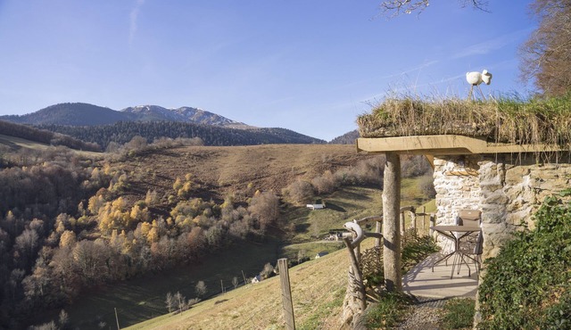 Cabane Mountain View Beroy