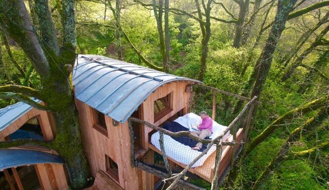 Cabane perchée Les Cabanes de Fallot - sauna bain-froid piscine naturelle
