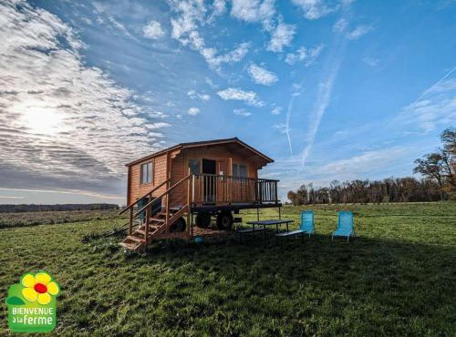 Cabane perchée en pleine nature, déconnexion à La Pérouille - FR-1-591-772